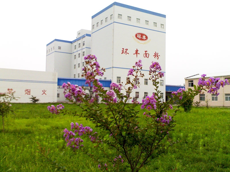 2005面粉大樓建成投產